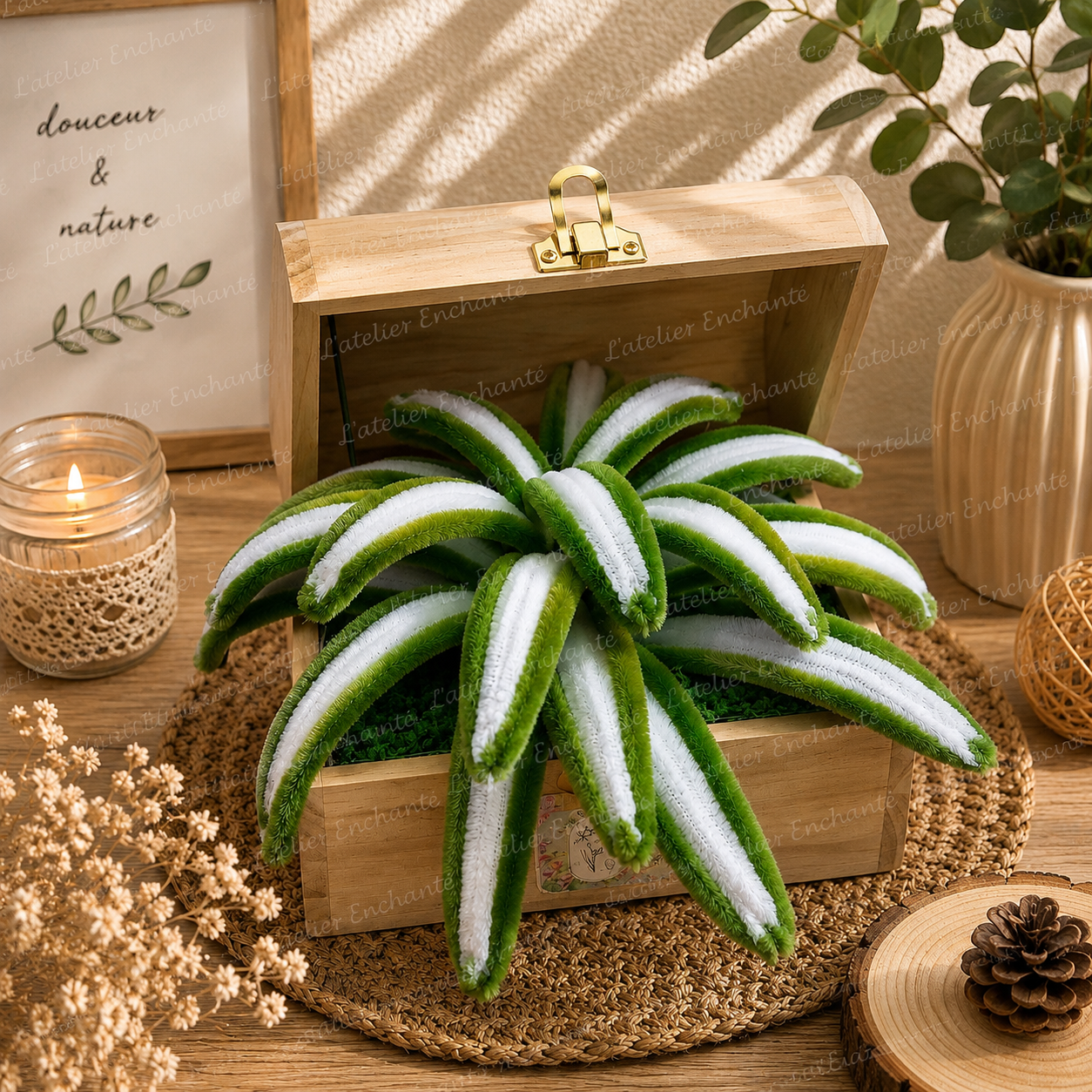 Chlorophytum lumineux 🪴🌿