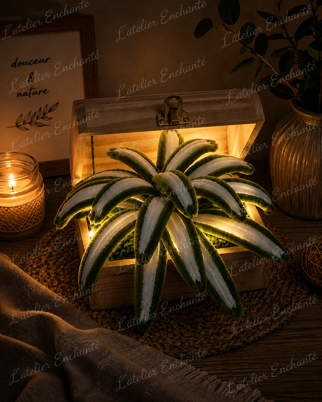 Chlorophytum lumineux 🪴🌿
