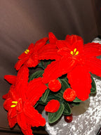 Grande plante Poinsettia