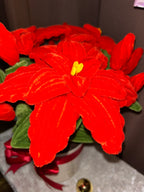 Grande plante poinsettia