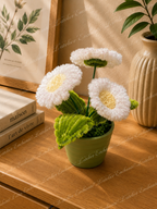 Mini gerberas 🌸