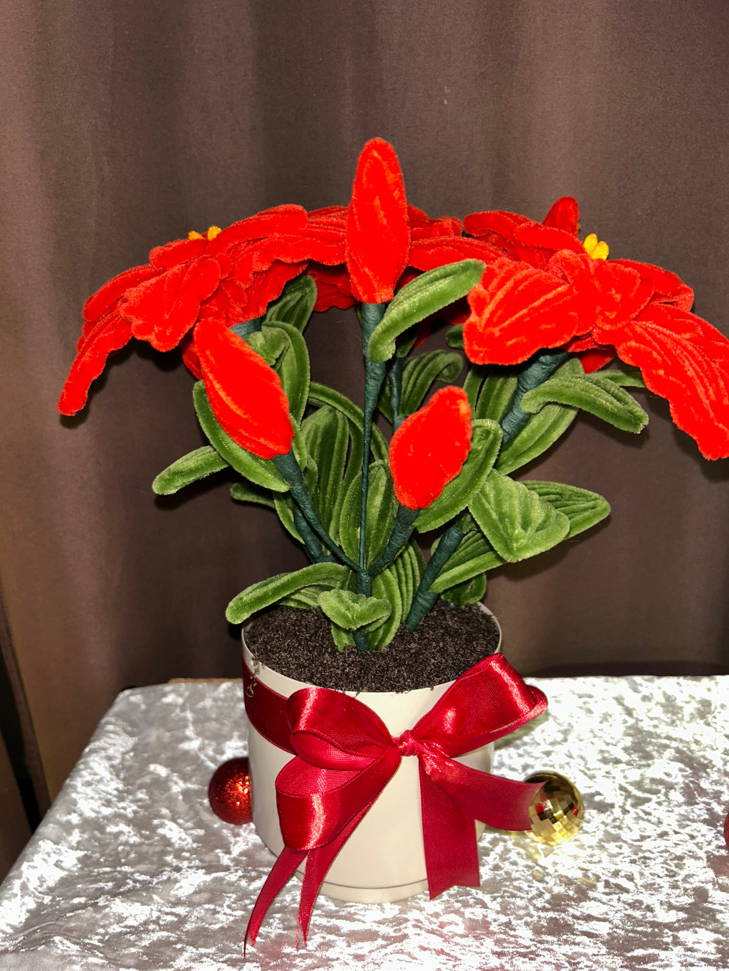 Grande plante poinsettia
