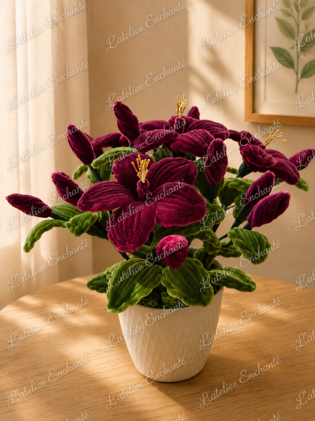 Hibiscus lie de vin