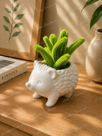 Mini hérisson plante verte