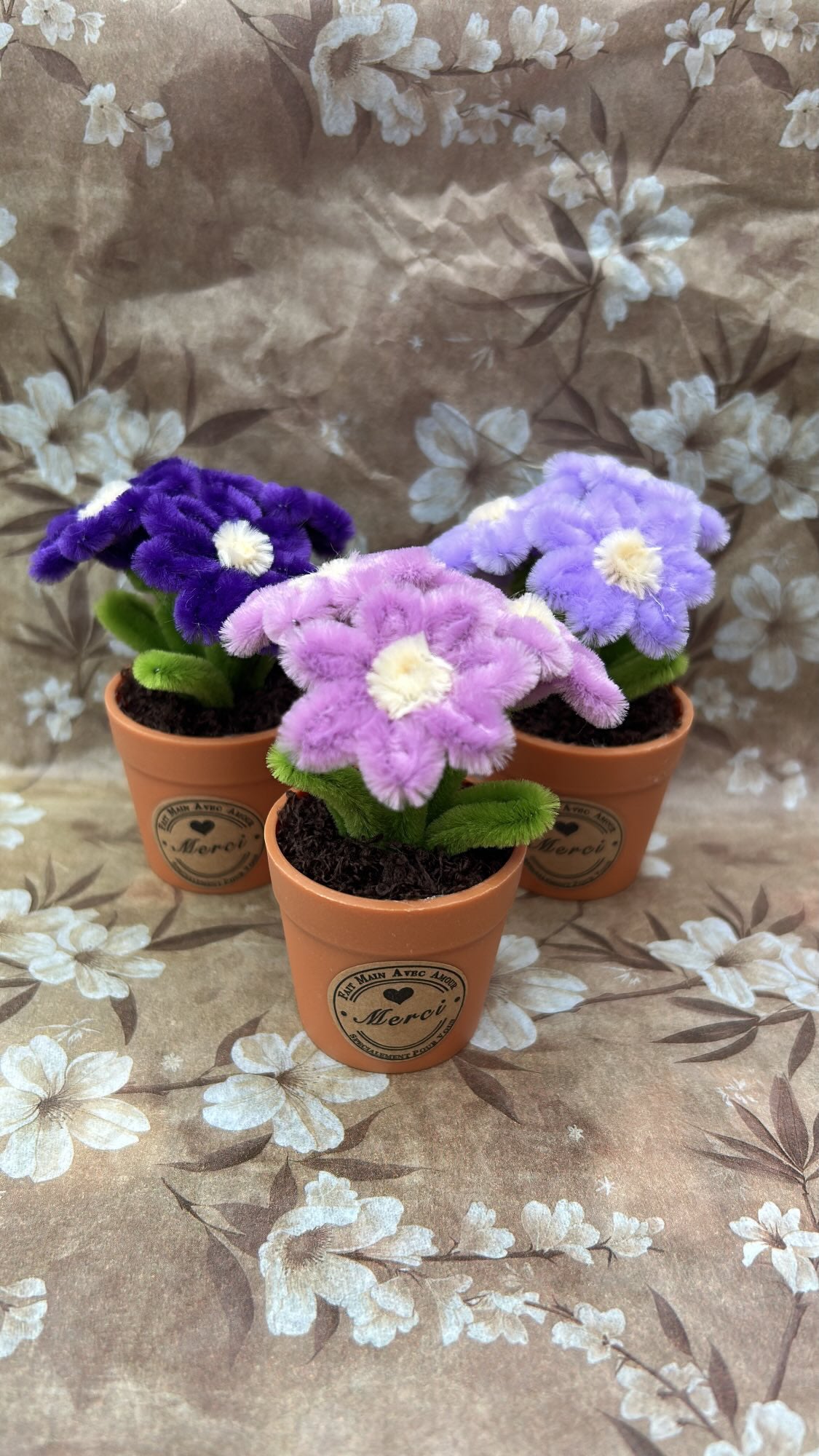 Lot de 3 mini plantes fleuries