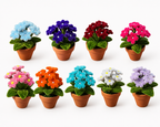 Mini pâquerettes