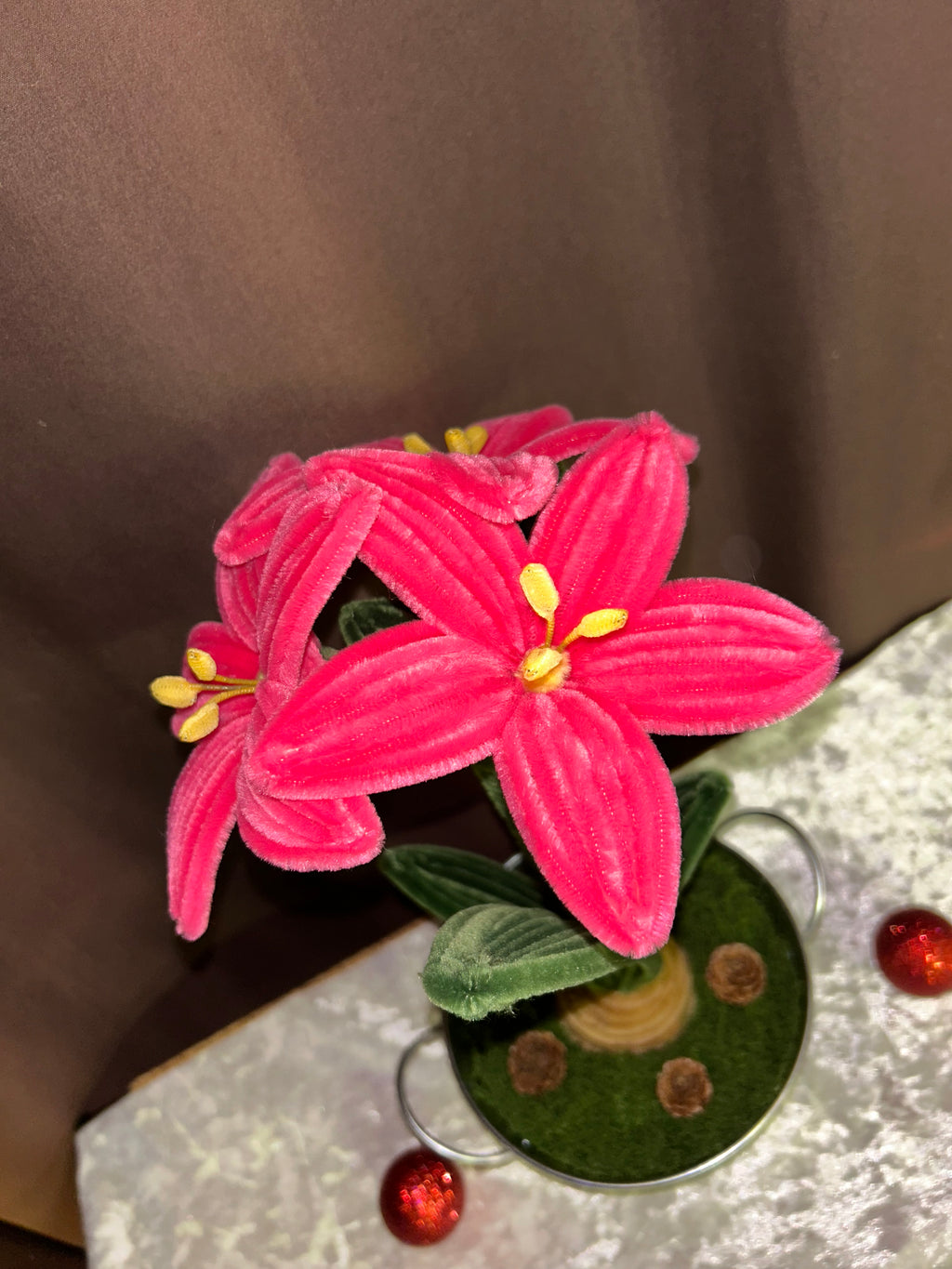 Plante amaryllis rose