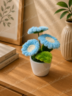 Mini gerberas 🌸