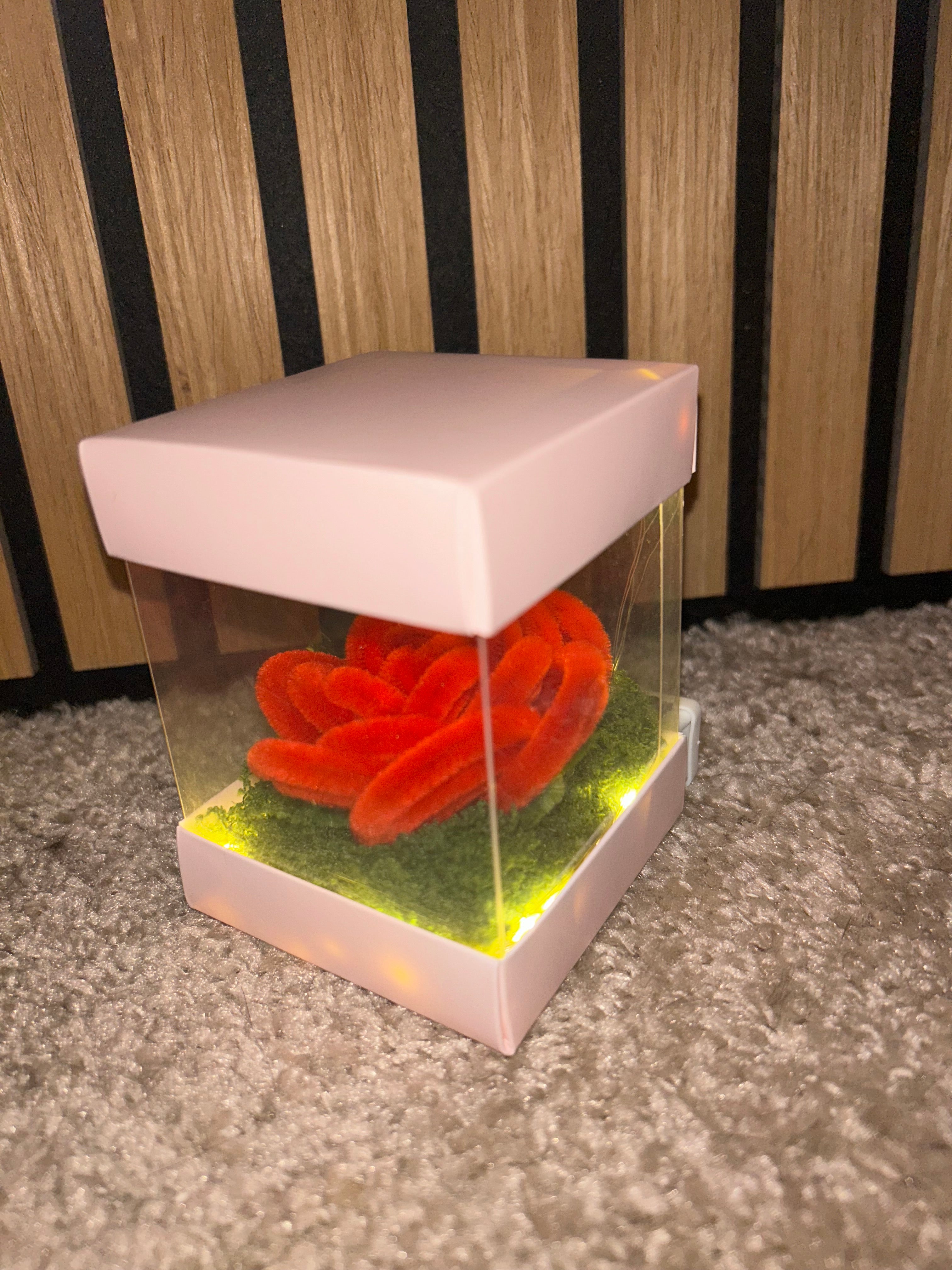 Bouton de rose rouge lumineux