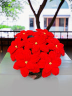 Gros Poinsettia rouge