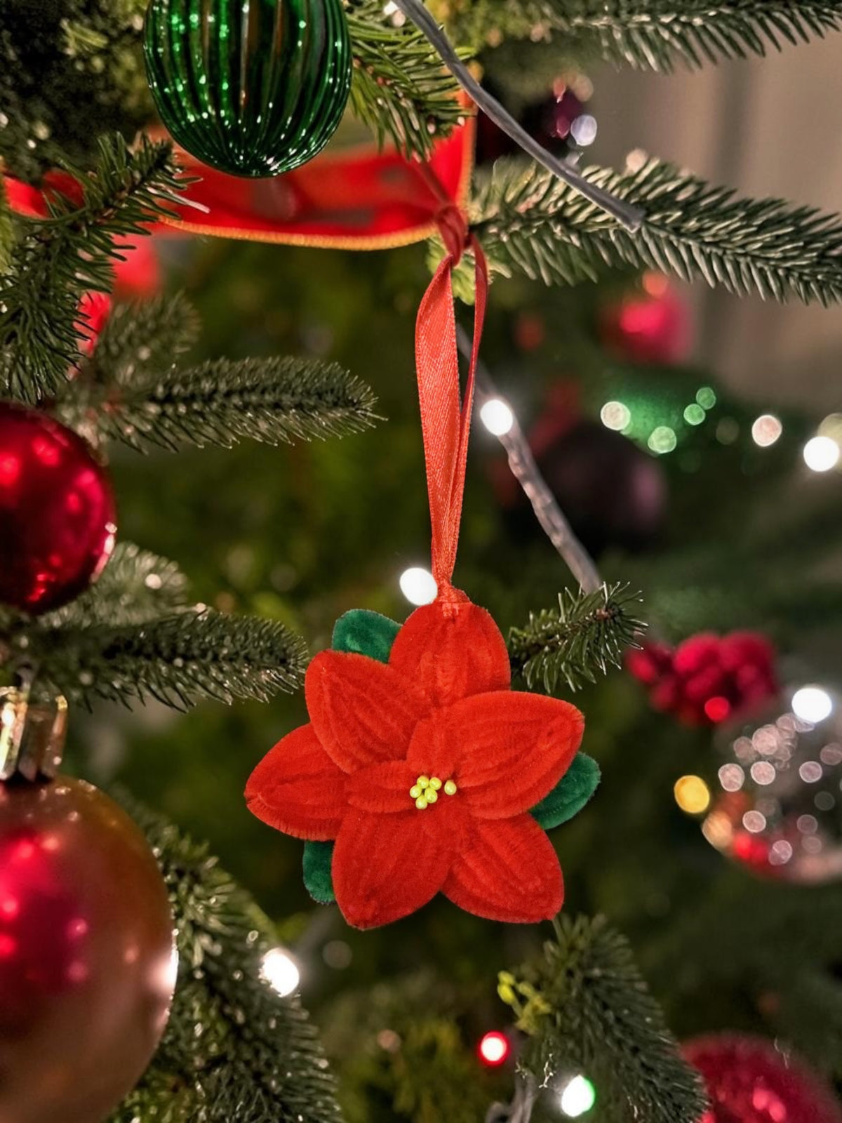Mini Poinsettia