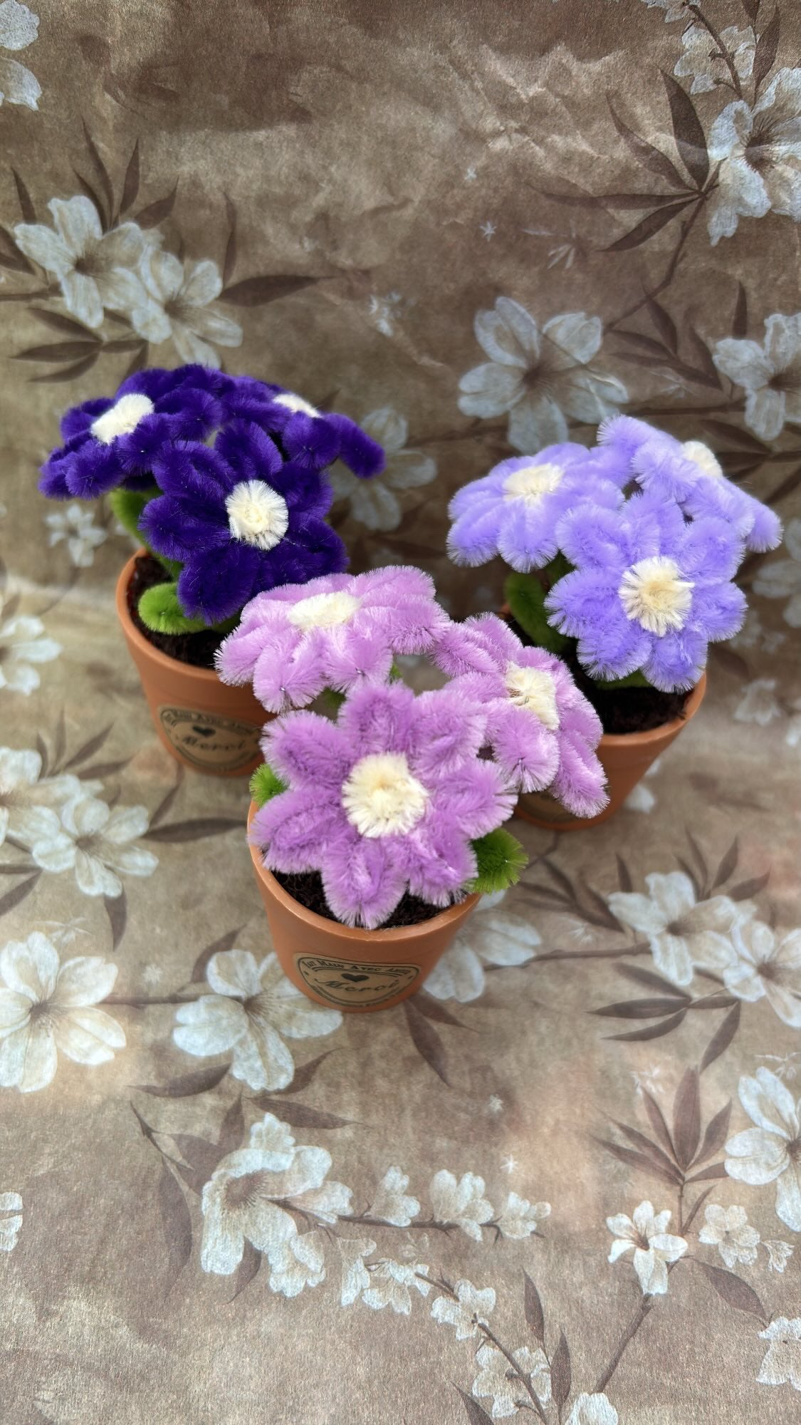 Lot de 3 mini plantes fleuries