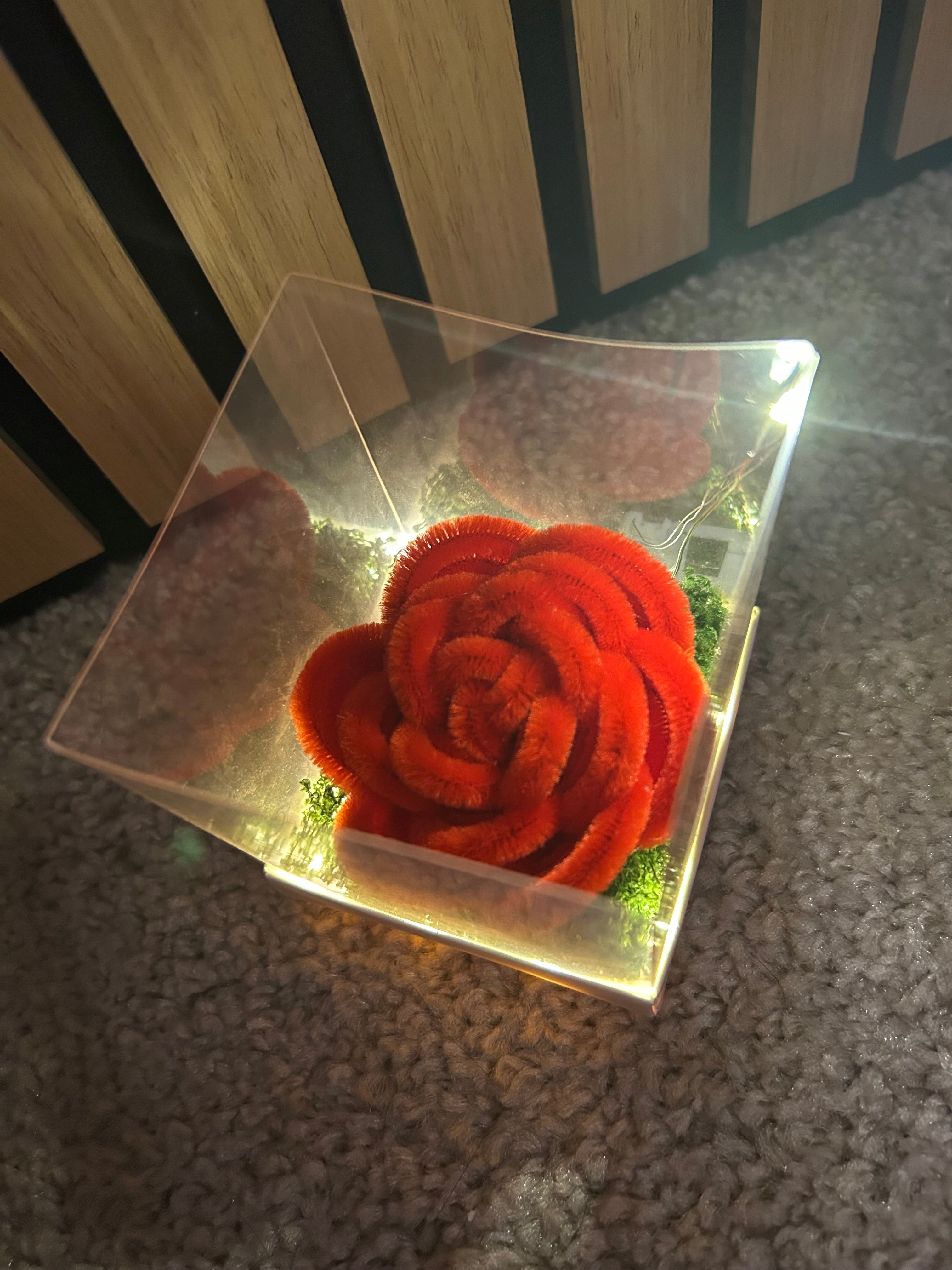 Bouton de rose rouge lumineux