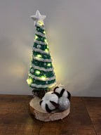 Sapin argent 1 🎄