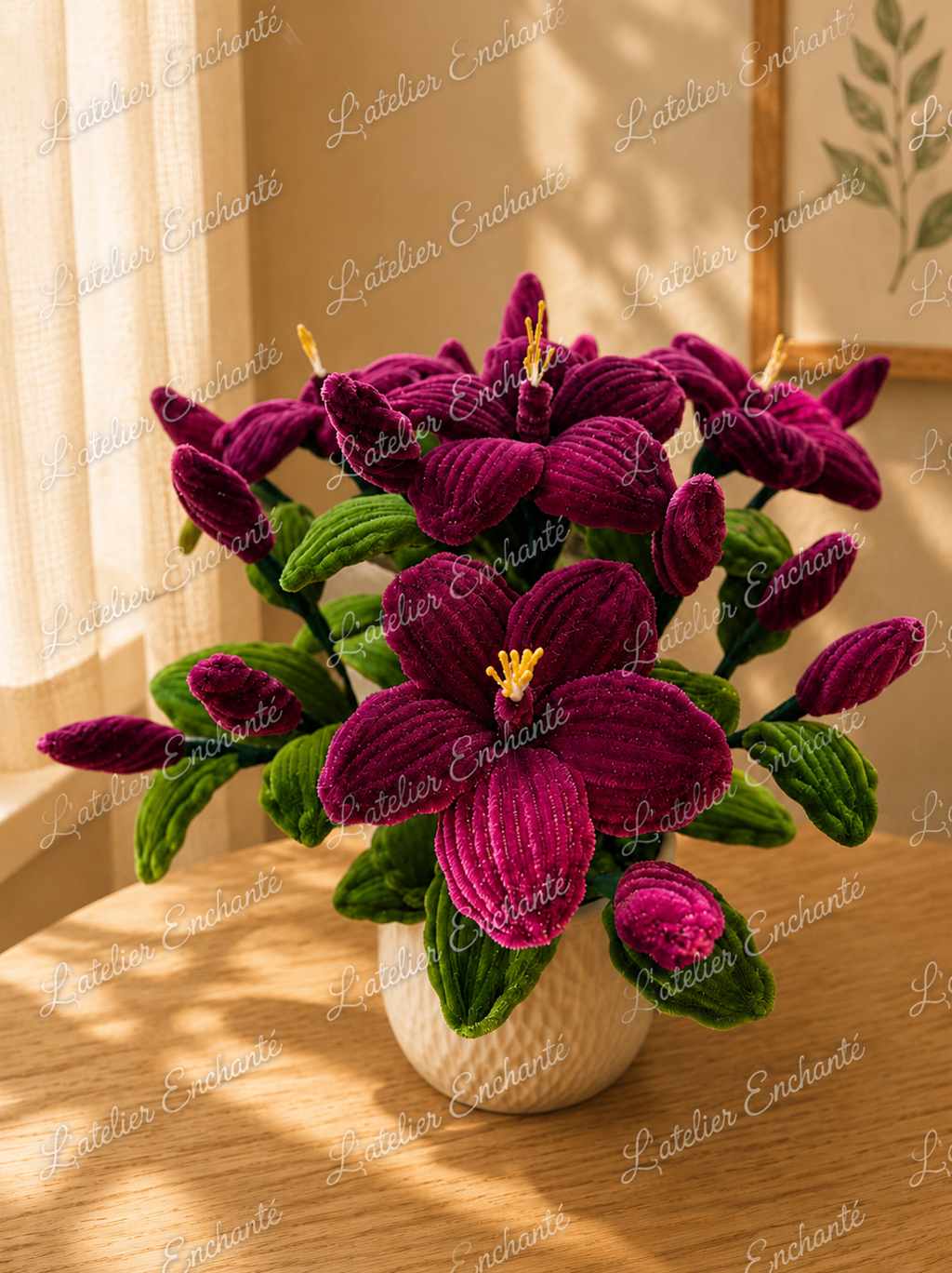 Hibiscus lie de vin
