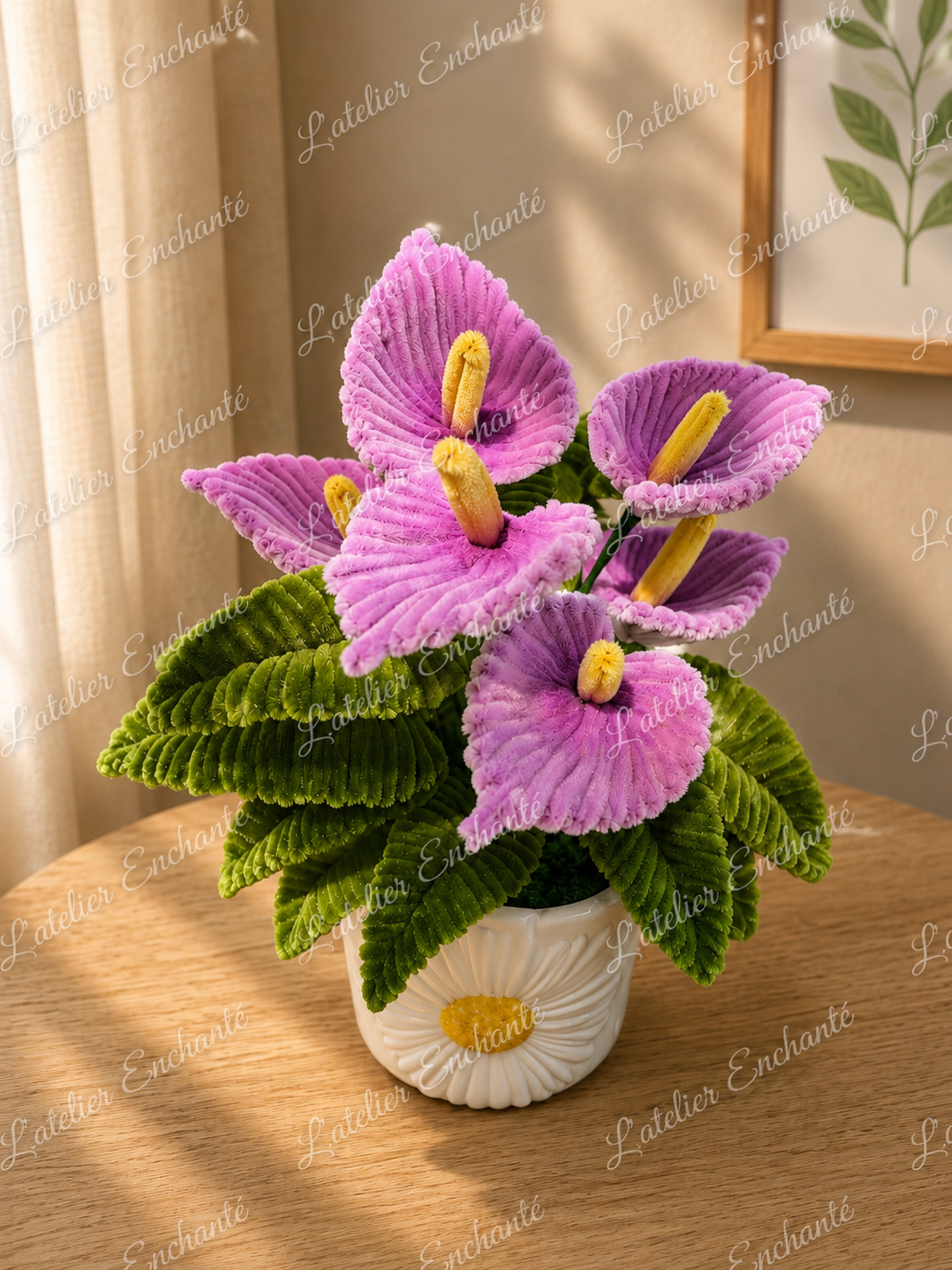 Anthurium violet