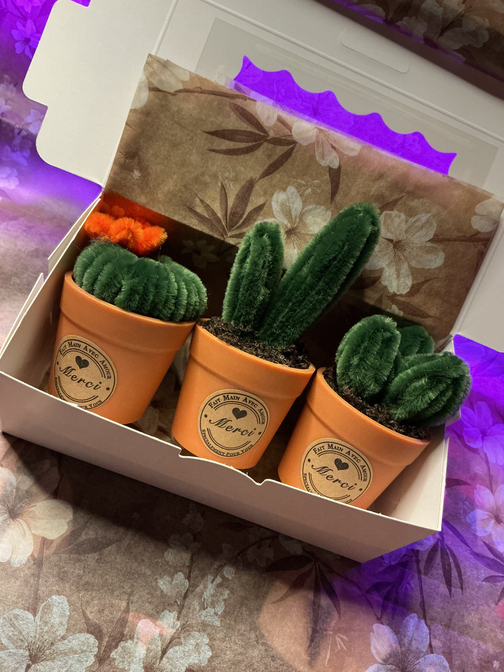 🌵 Mini coffret cactus 🌵