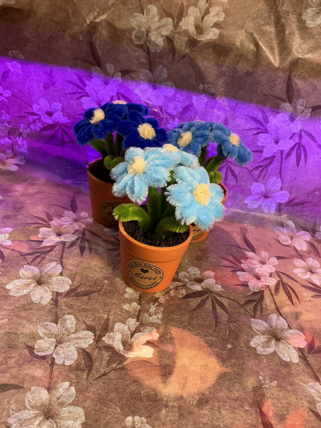 Lot de 3 mini plantes fleuries