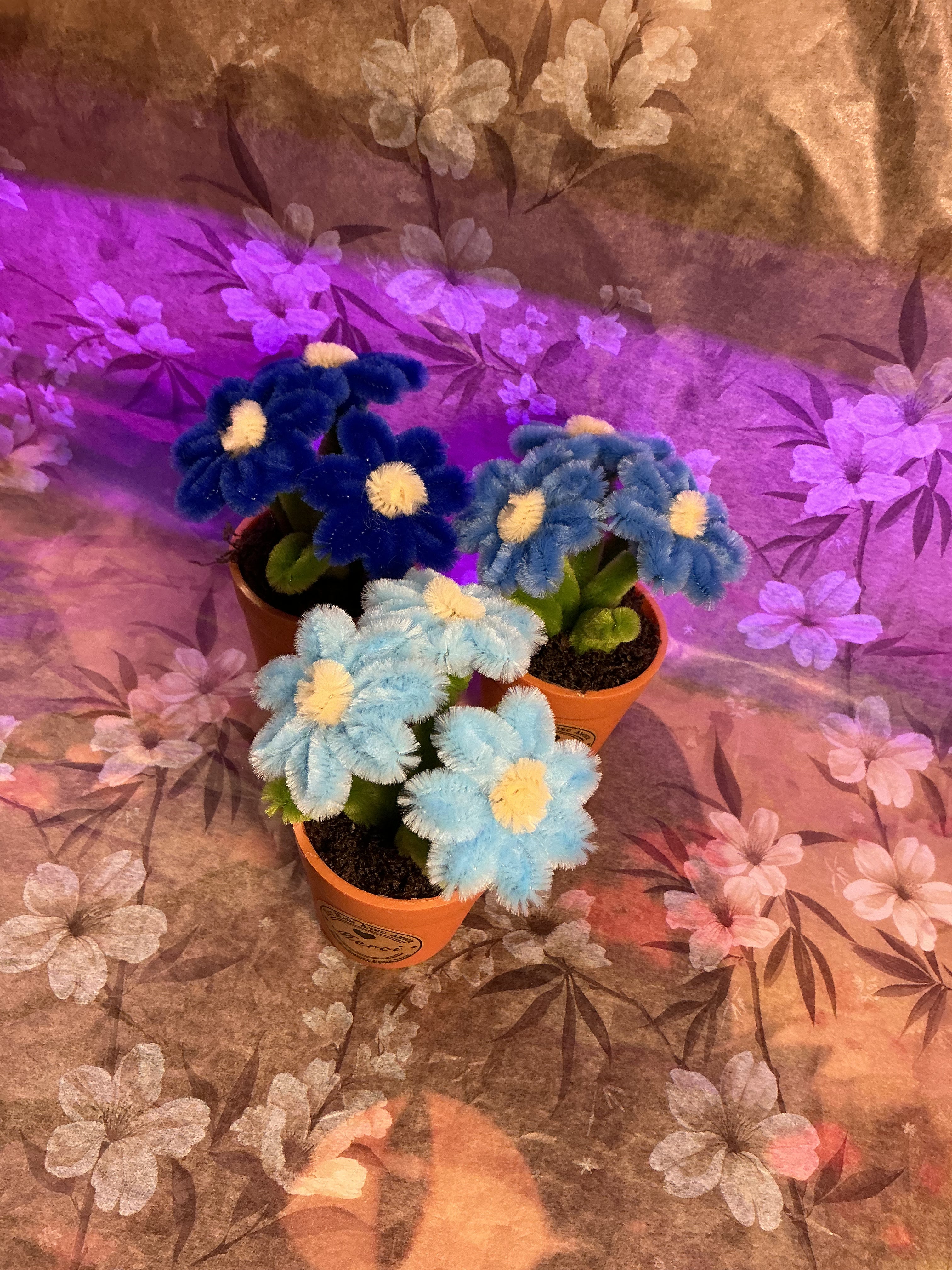 Lot de 3 mini plantes fleuries