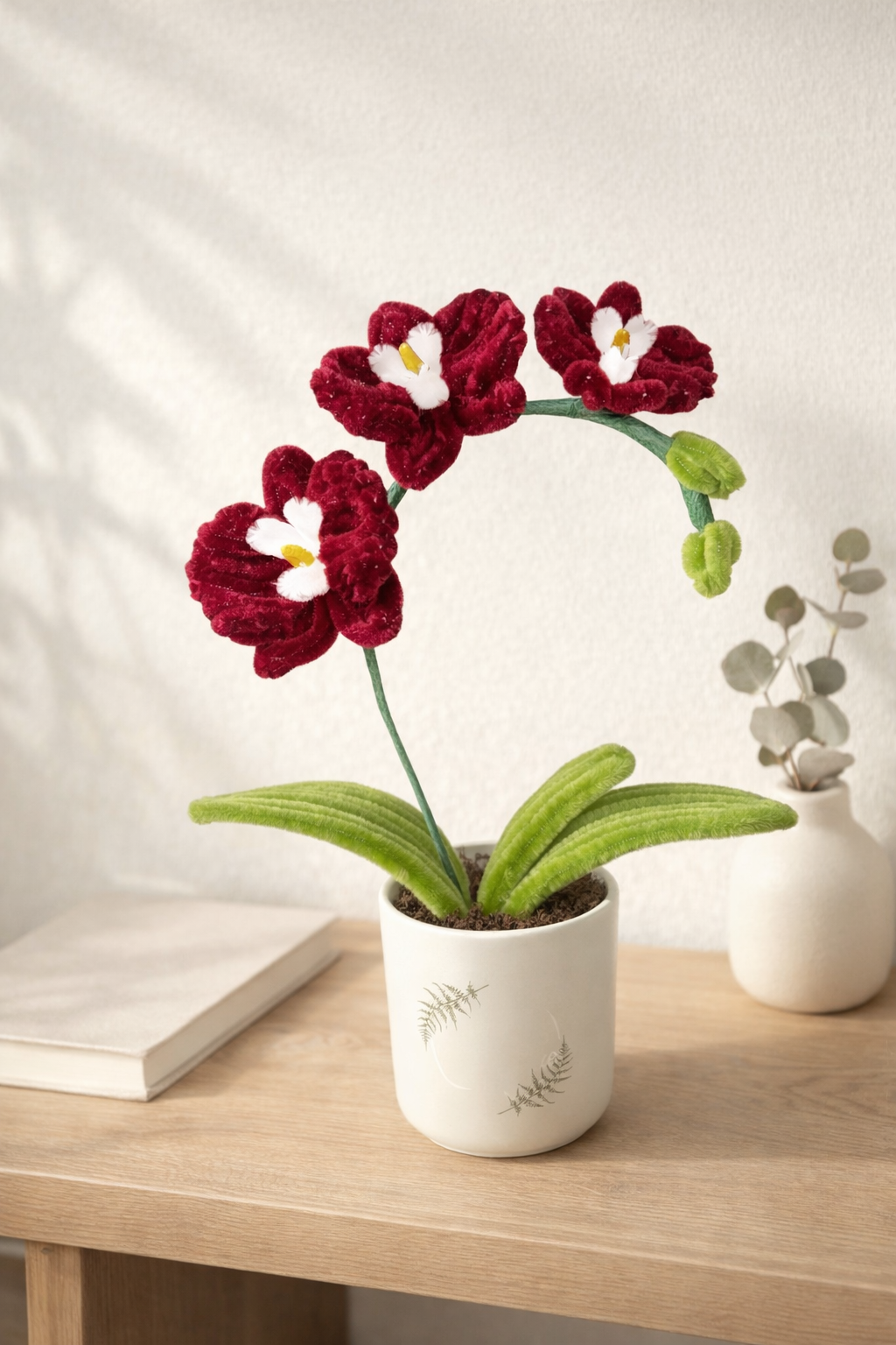 Orchidée Aurore Bordeaux