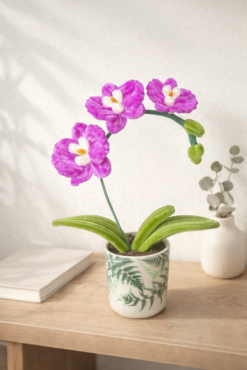 Orchidée Aurore Iris