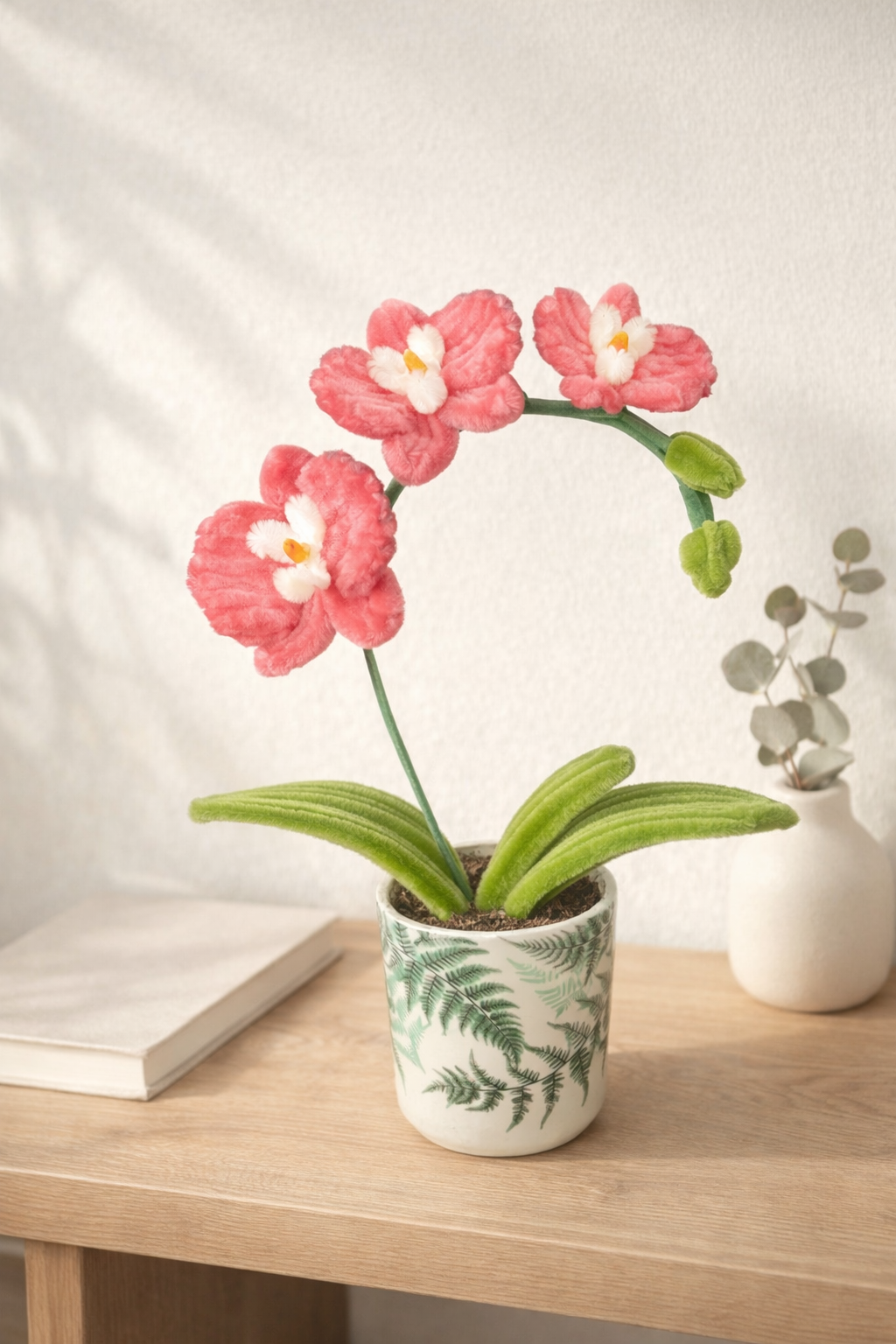 Orchidée Aurore Rose