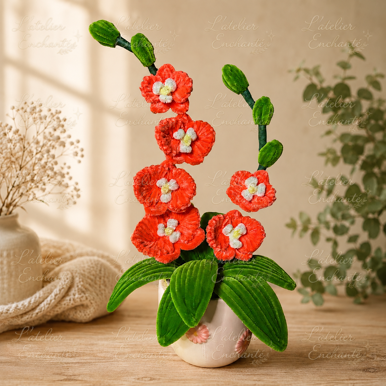 Orchidée Emilie Corail 🌸