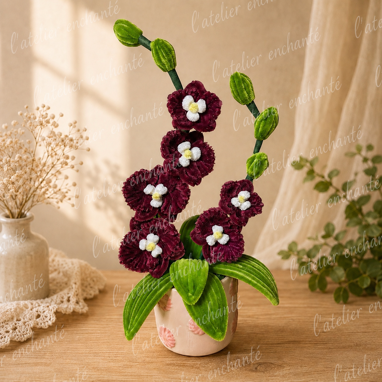 Orchidée Emilie Lie de Vin 🌸