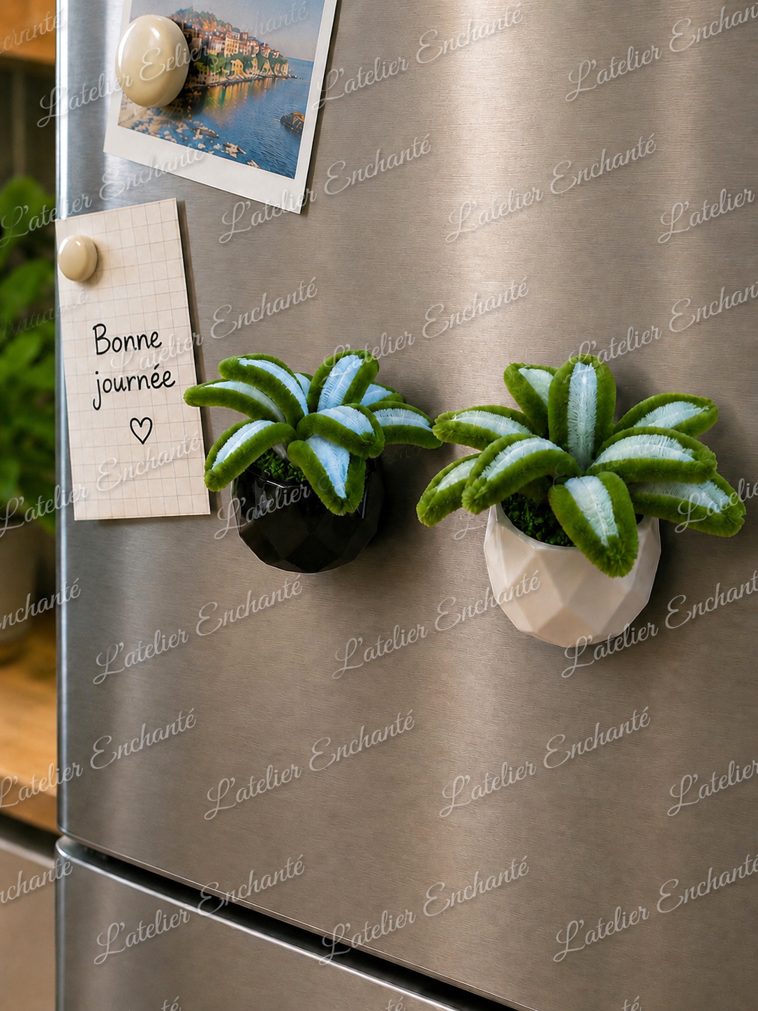 Plante aimant