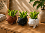 Mini hérisson plante verte
