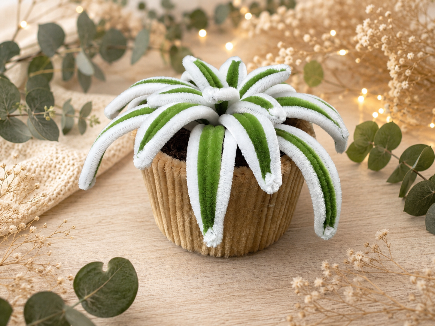 Chlorophytum