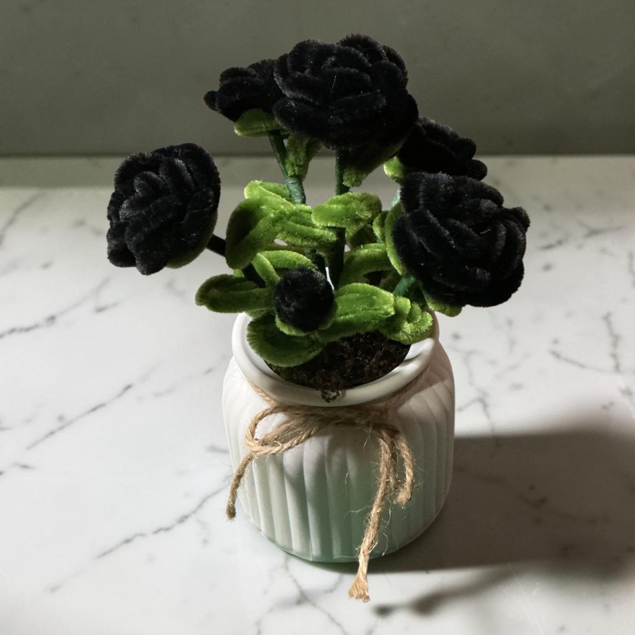 Rosier Doriane Noir 🖤