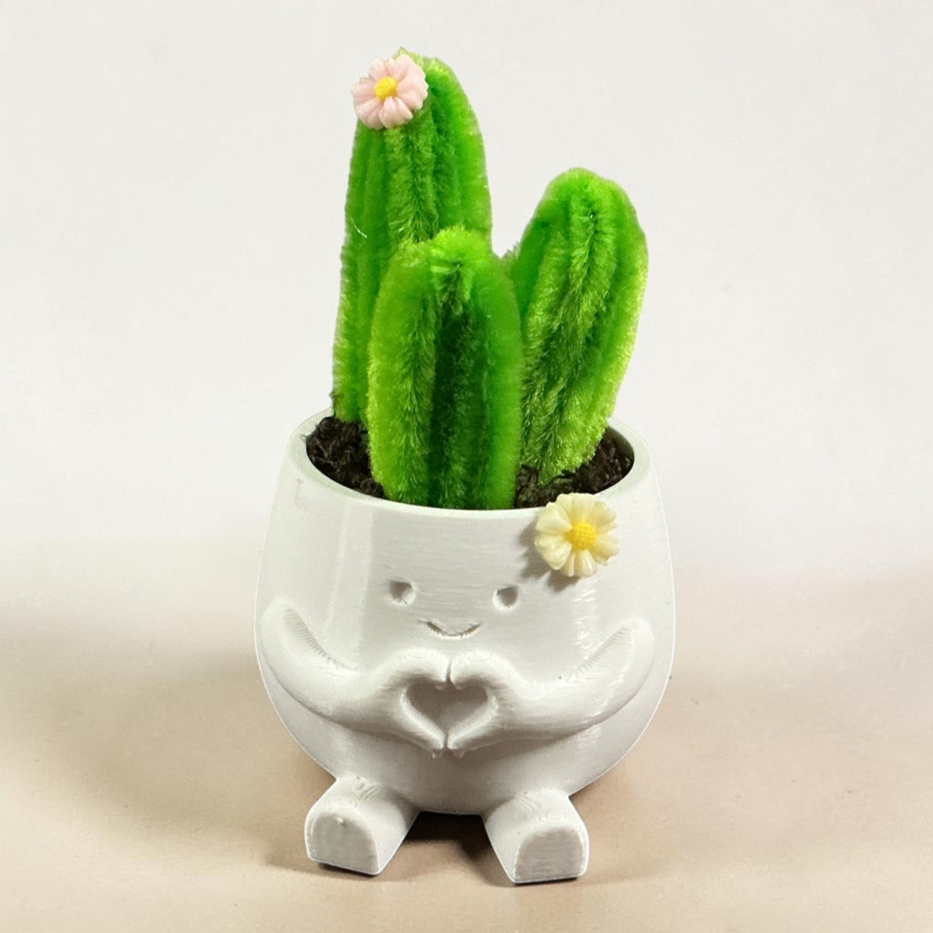 Mini cactus mignon 🥰