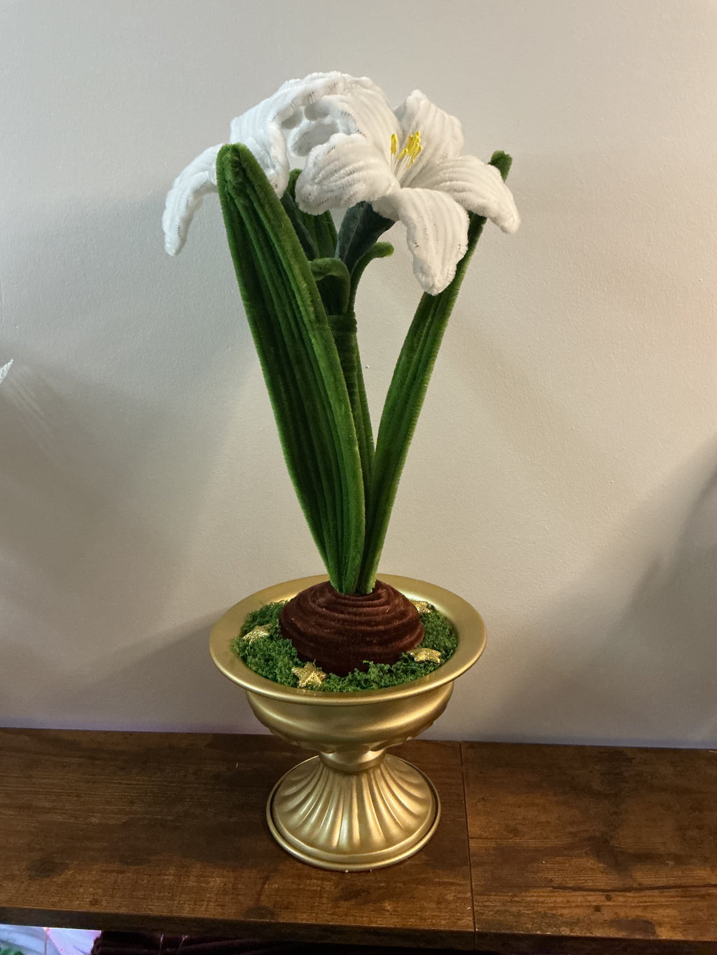 Amaryllis blanc 🌟