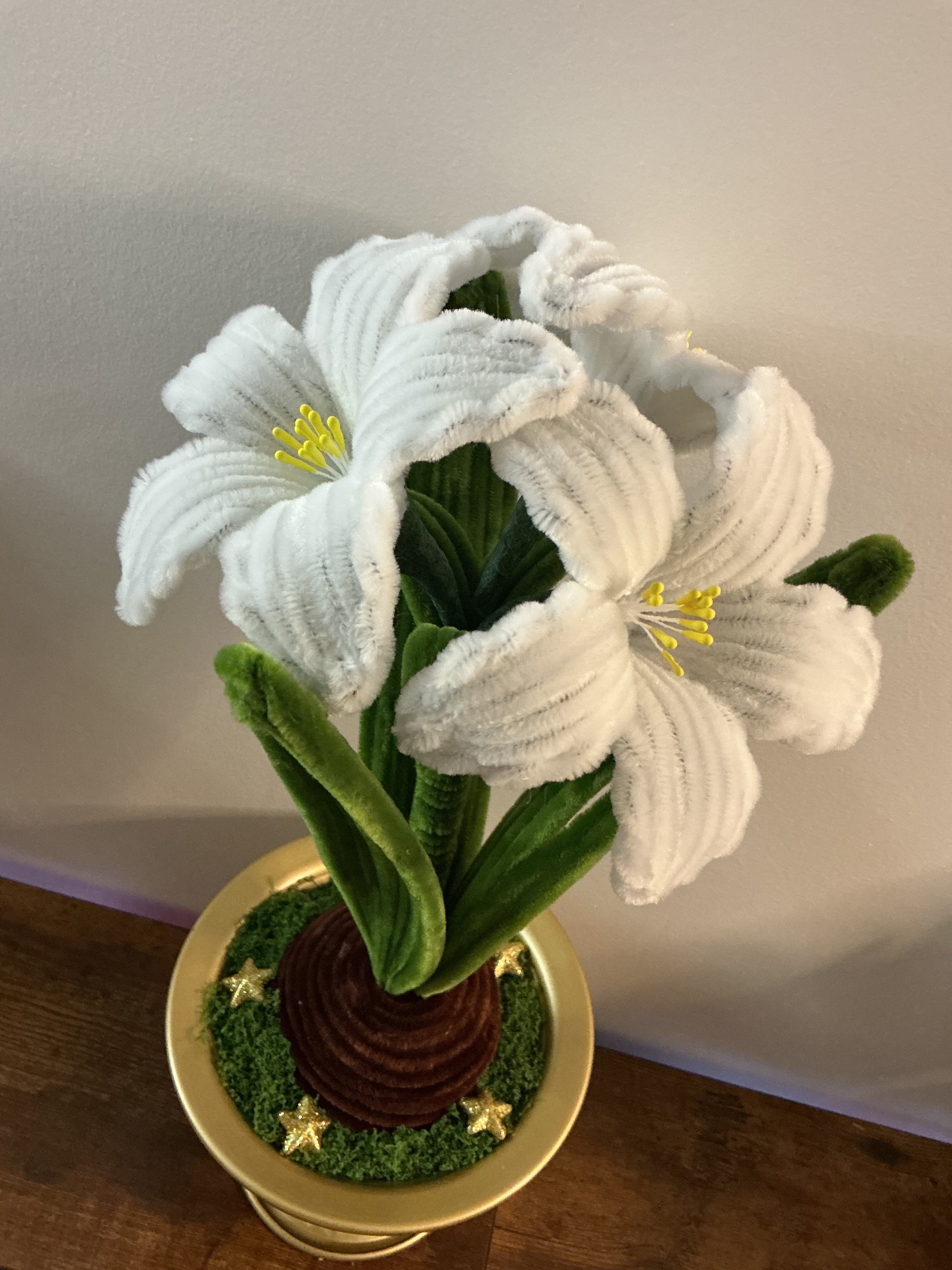 Amaryllis blanc 🌟