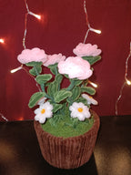 Rosier Chloé rose pâle