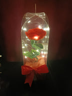 Rose éternelle rouge